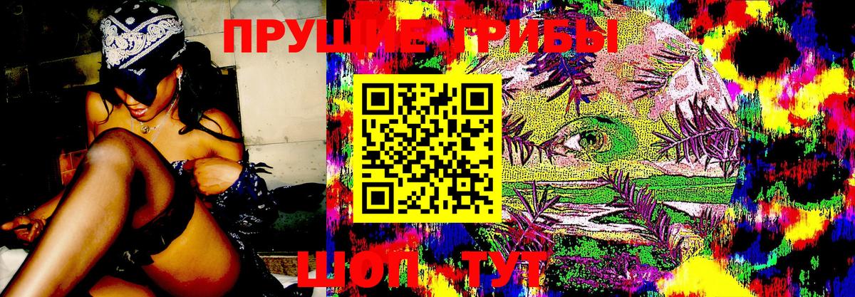 Чита  Галлюциногенные грибы Magic Shrooms  Вход с VPN 