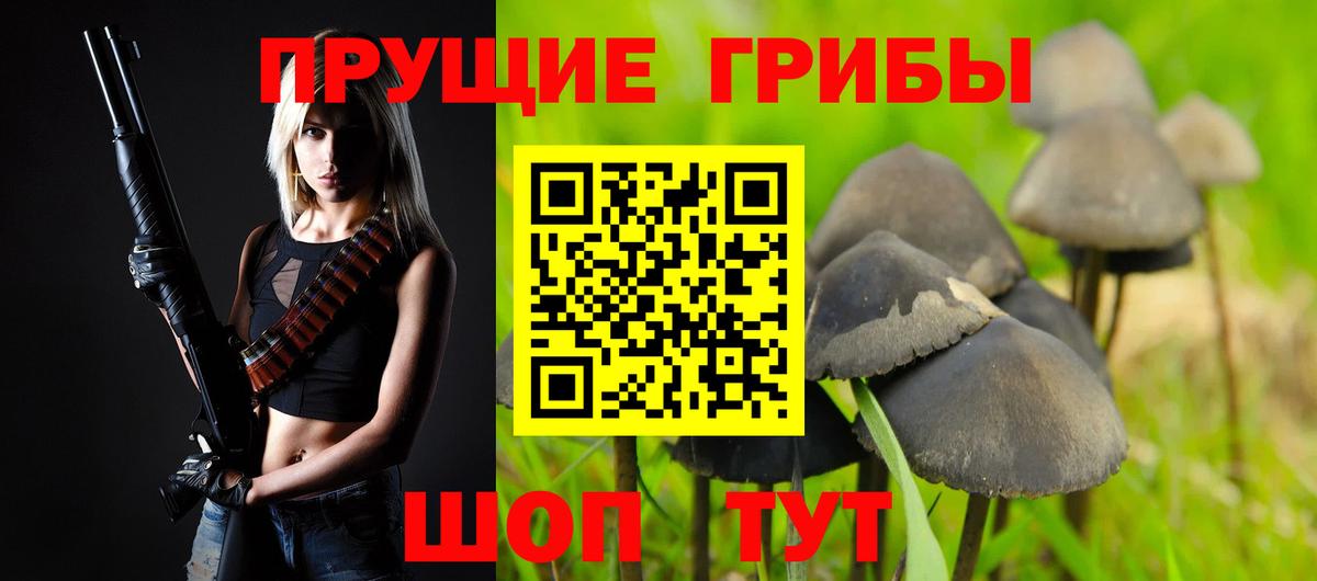 Псилоцибиновые грибы прущие грибы Чита